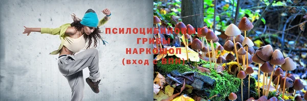 герыч Алексеевка