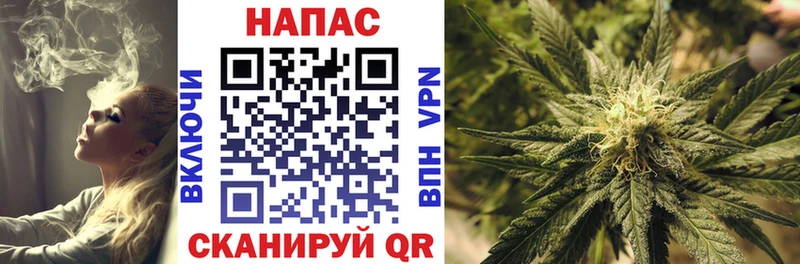 Канабис марихуана  даркнет сайт  Шумиха 